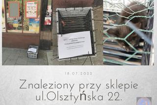 Kociak porzucony pod sklepem 