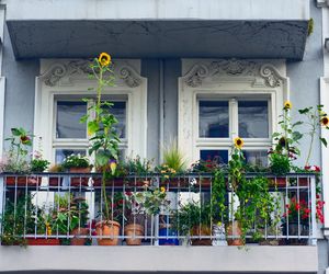 Balkon w stylu rustykalnym
