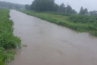 Gmina Czechowice-Dziedzice