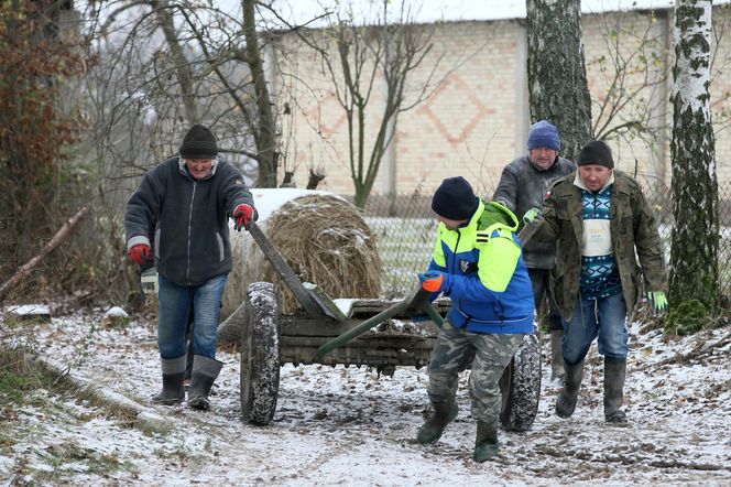 Rolnicy Podlasie. Andrzej z Plutycz oraz jego gospodarstwo