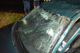 Pijany spowodował wypadek i uciekł! Znaleziono go na polu kukurydzy [ZDJĘCIA]