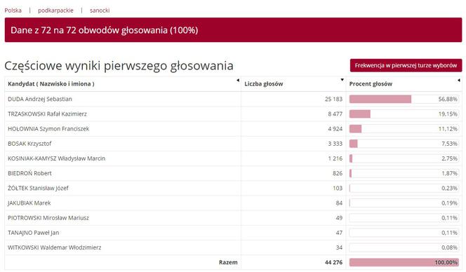 Wybory prezydenckie 2020: Jak głosowali mieszkańcy Podkarpacia