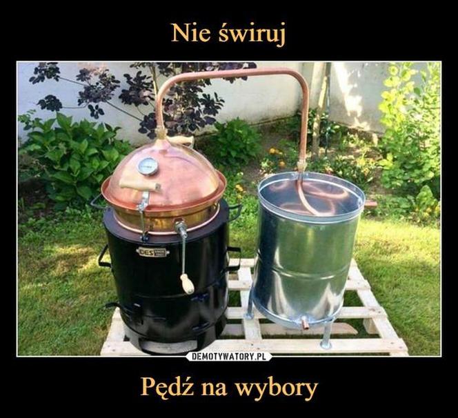 Wybory 2023 najlepsze MEMY. Szydera na maksa! Internauci bezlitośni dla polityków