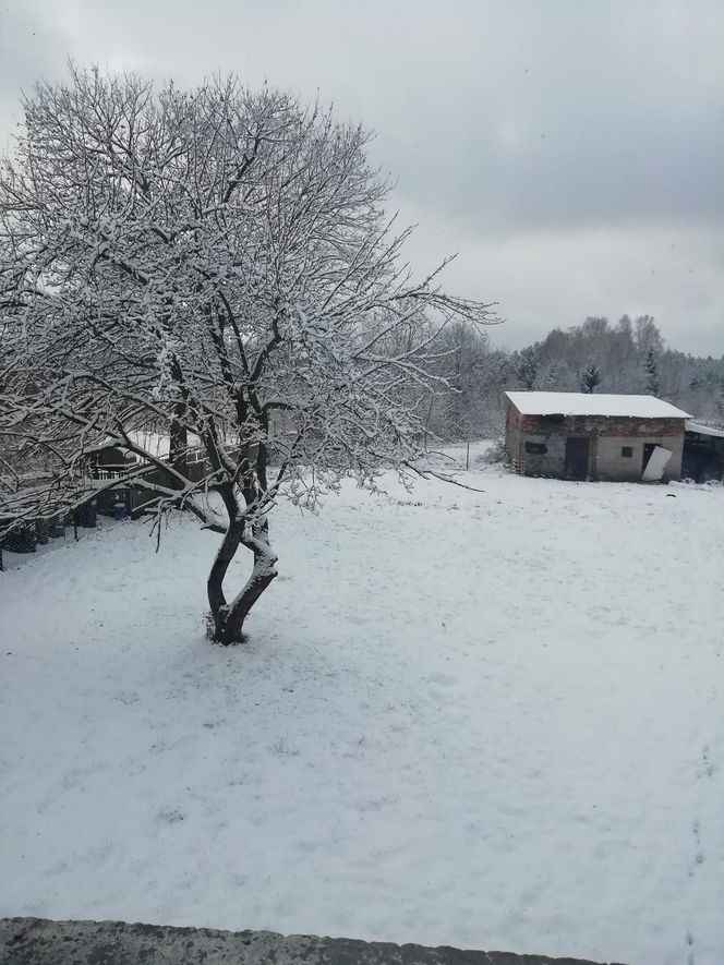 Atak zimy w Polsce. Zasypane miasta na Waszych zdjęciach