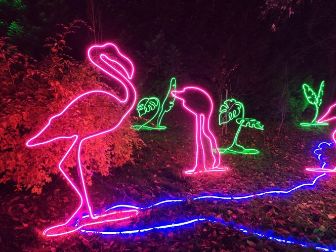 Park iluminacji w Lublinie