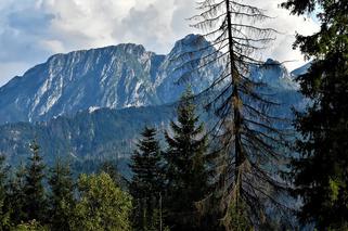 Tłumy w Tatrach. Będą limity dla turystów na szlakach? Pomysł ma sporo zwolenników