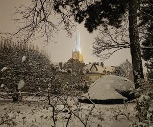 Ostrów Tumski we Wrocławiu w zimowej odsłonie. To miejsce trzeba odwiedzić [zdjęcia]