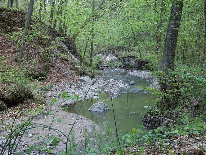   Elbląg to najniżej położone miasto w Polsce. Zachwyca zabytkową architekturą i krajobrazami