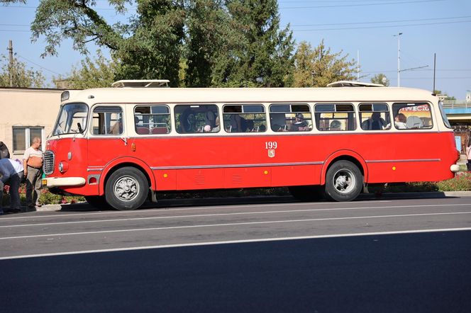 Animacje, najdłuższy autobus w kraju i inne atrakcje. Tak wyglądał Dzień bez Samochodu w Lublinie