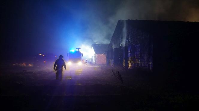Krzywiec. Pożar kompleksu kurników. Padło 20 tys. sztuk perliczek