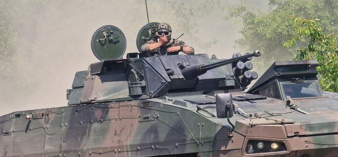 Rosomak