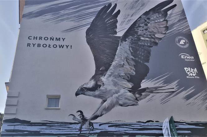 mural rybołów