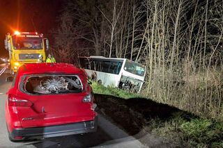 Autobus pełen pasażerów wylądował w rowie. Poszkodowane zostało roczne dziecko