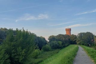 Przez to miasto Kujawsko-Pomorskiem nie da się przejść niezauważonym. Na turystów patrzy ponad 200 par kamiennych oczu. Wszędzie są twarze!