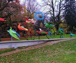 Ogniste Ptaki w Parku Kasprowicza w Szczecinie