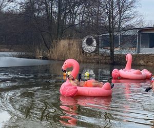 Morsowanie w Zielonej Górze podczas 33. Finału WOŚP