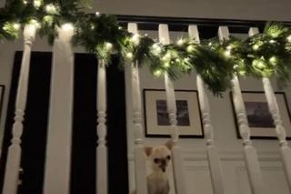 Świąteczne dekoracje Małgorzaty Rozenek. Prawie jak w domu Kevina!