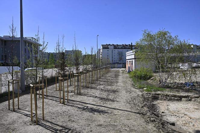 Są plany budowy gigantycznego osiedla w Warszawie. Ponad 500 mieszkań i nawet 11 pięter!