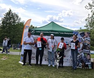 Festiwal Przyjaciół Zwierząt w Olsztynie. Park Centralny opanowały radosne pieski
