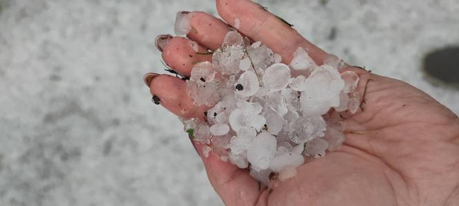 Koszmarny widok po nawałnicy w Osiu. Gigantyczne straty 
