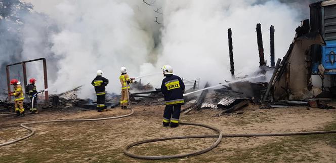 Łódzkie: Ogromny pożar w ośrodku wypoczynkowym. Koń spłonął żywcem