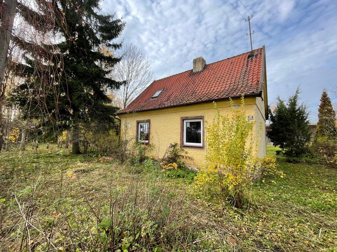 Metamorfoza siedliska na Mazurach