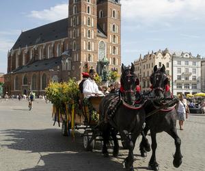 Towarzystwo Przyjaciół Bronowic zaprzęgło konie do ciągnięcia wozów w 35 st. upale. Na Rynku obowiązywał zakaz postoju dorożek