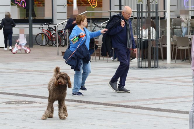 Ilona Łepkowska z mężem i psem na spacerze w Sopocie
