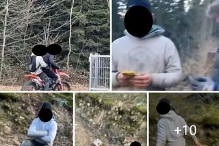 Młodzi ludzie znęcali się nad kotami 