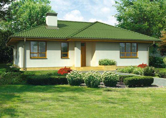 Domy parterowe - jak na jednym piętrze zaplanować salon, sypialnię i kotłownię?