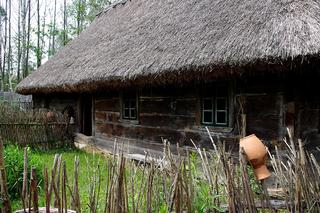 Okolice skansenu w Kuligowie