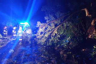 Burze w województwie podlaskim: Połamane drzewa, zalane ulice [ZDJĘCIA]