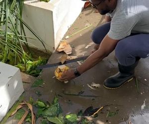 Michał Żebrowski pokazał oko cyklonu! Potworne zniszczenia po Melissie