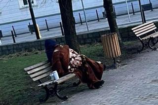 Starsza kobieta sypia na ławce w parku. Jej mąż leży na onkologii?