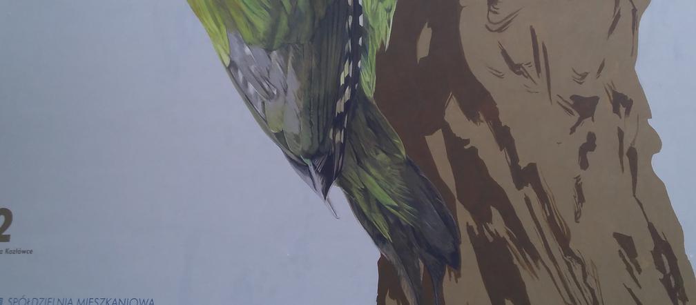 Ptasie murale na Kozłówku