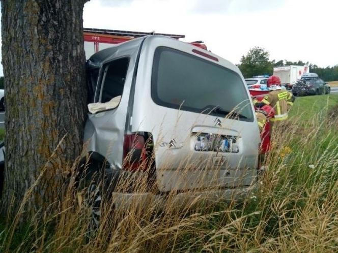 Tragiczny wypadek pod Sławnem. Citroen roztrzaskał się na drzewie