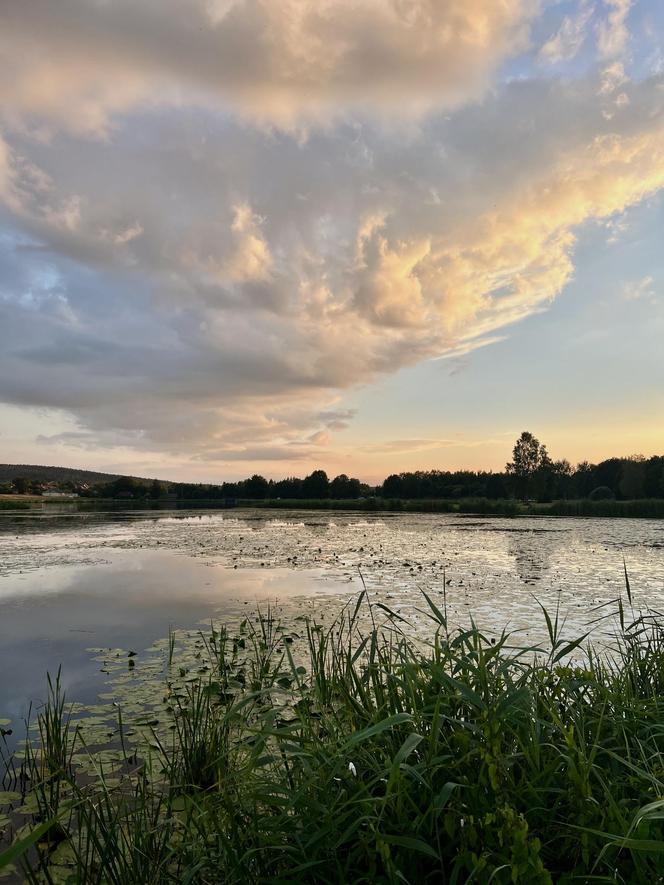 Szukacie ciszy i spokoju nad wodą? Zalew Umer to świętokrzyska oaza