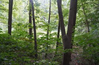 To najmniejsze jezioro w Olsztynie. Prawie nikt o nim nie słyszał [ZDJĘCIA]