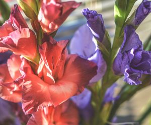 Prześliczne życzenia imieninowe dla Mirosławy. Niech Mirkę oczaruje magia tych słów