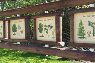 Centrum Edukacji Przyrodniczo-Leśnej w Powsinie