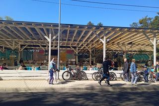 Jezioro Dominickie w Boszkowie