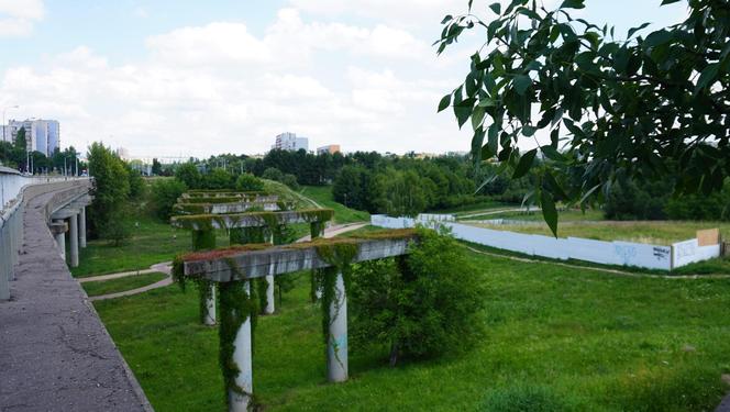 Lublin. „Filary porośnięte bluszczem” i nie tylko. Park Jana Pawła II w lipcowej odsłonie