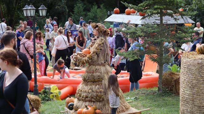 Nowa atrakcja w Lublinie dla dzieci! Farma dyń już działa