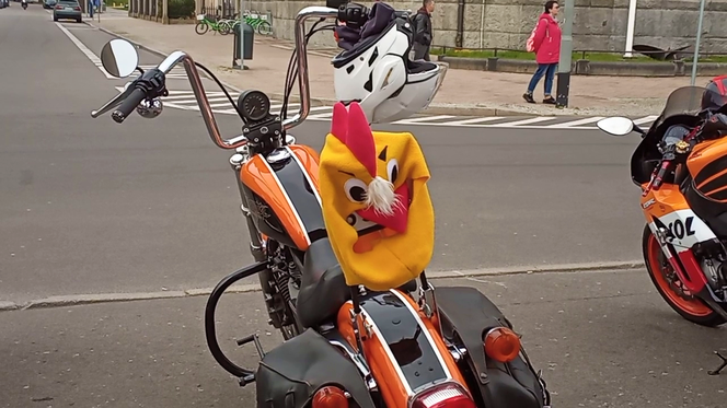 Moto Zające i Kurczaki niosą pomoc na Wielkanoc. Dziesiątki motocyklistów na ulicach Szczecina
