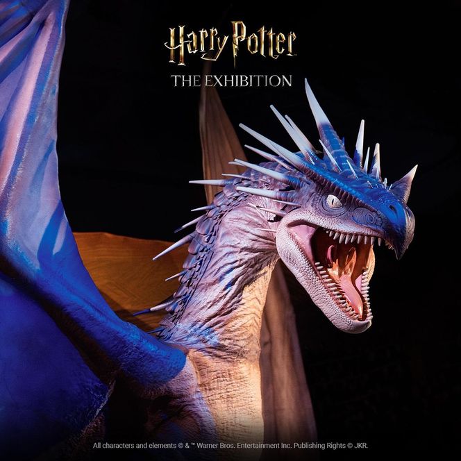 Magiczna podróż w świat Harry’ego Pottera czeka w Alvernia Planet