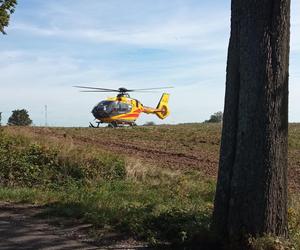 Samochód wbił się w drzewo niedaleko Strzelec Krajeńskich. Kierowca cudem przeżył!