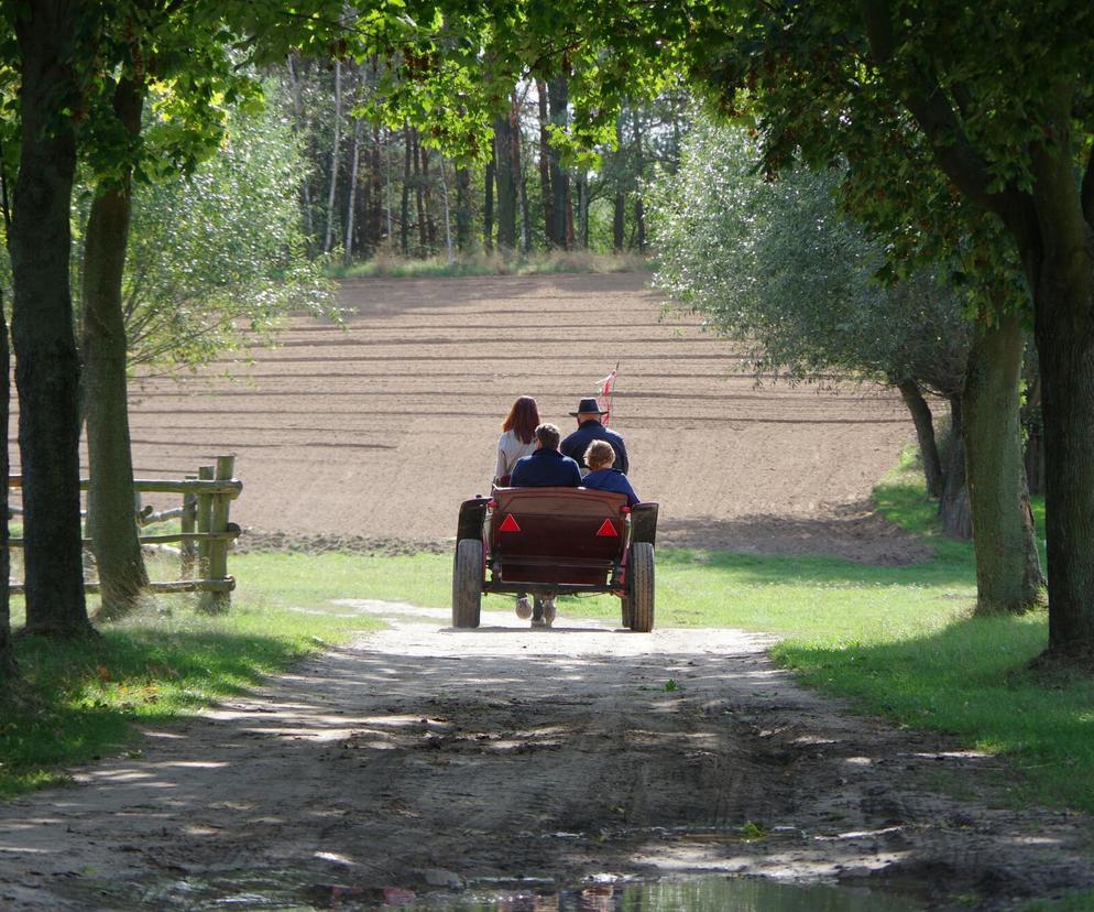 Jak dobrze znasz wiejskie przesądy? Lepiej żebyś nie skusił, jak baba dziada!