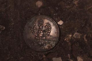 Cała Polska ratuje mumię