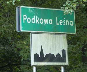 Podkowa Leśna