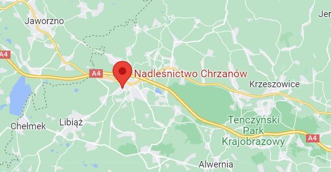 Nadleśnictwo Chrzanów